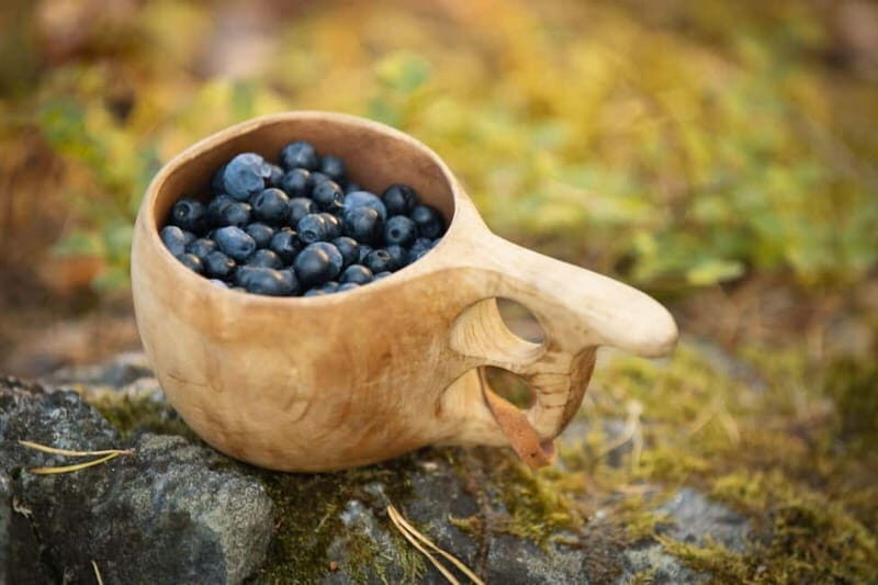 Lahti: Wild Food Foraging Tour with Tastings - Key Points