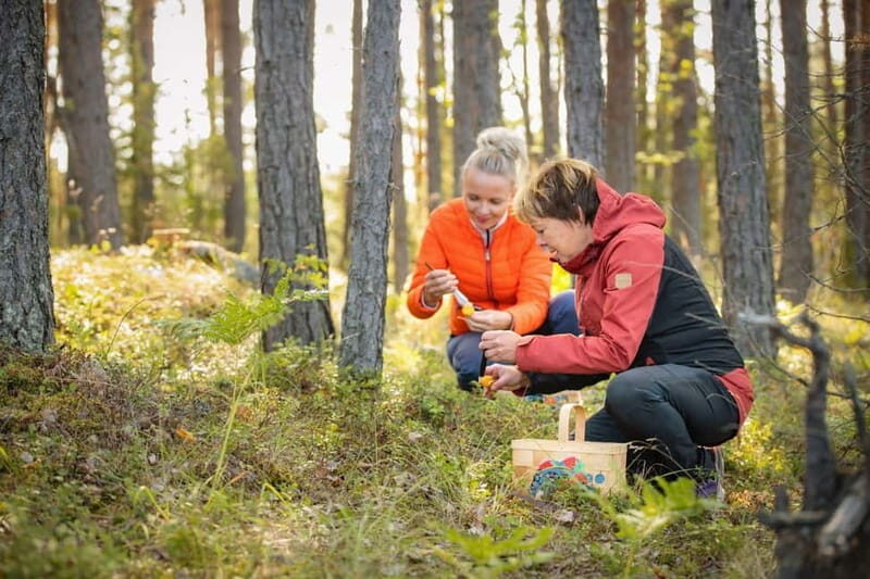 Lahti: Wild Food Foraging Tour with Tastings - The Experience Provider and Its Reputation