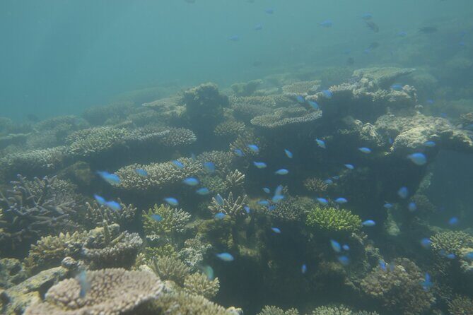 Lailai Lounge All Inclusive Island Retreat - FAQ