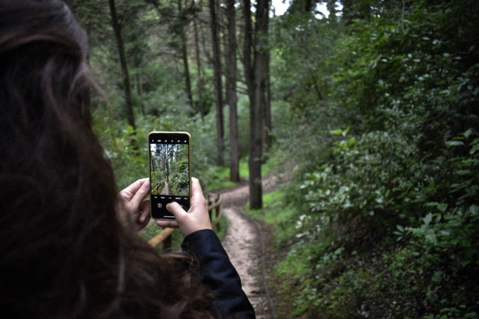 Lake Agnes Tea House Trail: Nature Tour With Audio Guide - Accessing the Tour