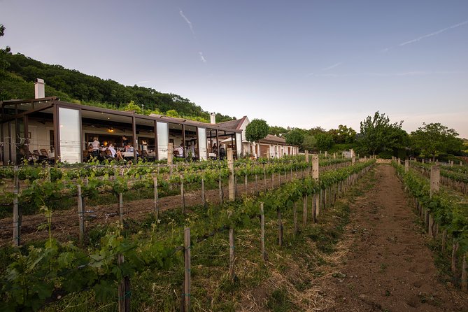 Lake Balaton Full Day Private Wine Tour - Transportation and Pickup