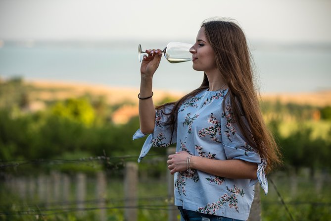 Lake Balaton Full Day Private Wine Tour - Wine Tasting Experience