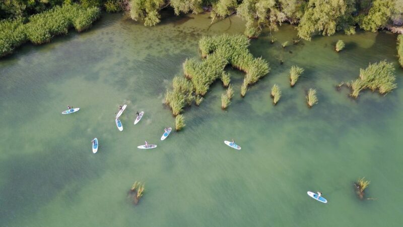 Lake Balaton: Paddle Board Tour of Tihany National Park - Exploring Lake Balaton by Paddleboard: An Authentic Perspective
