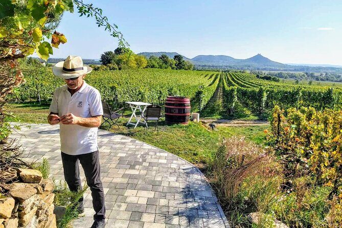 Lake Balaton private wine tasting and sightseeing from Budapest - The Itinerary Breakdown