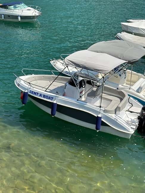 Lake Como: 1-Hour Private Boat Tour With Skipper - Setting the Scene: What the Tour Offers