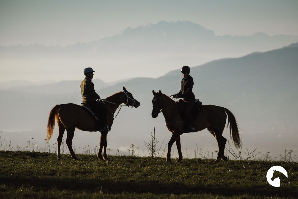 Lake Como: Horseback Adventure & Tasting With Amazing Views - Connecting With Your Horse