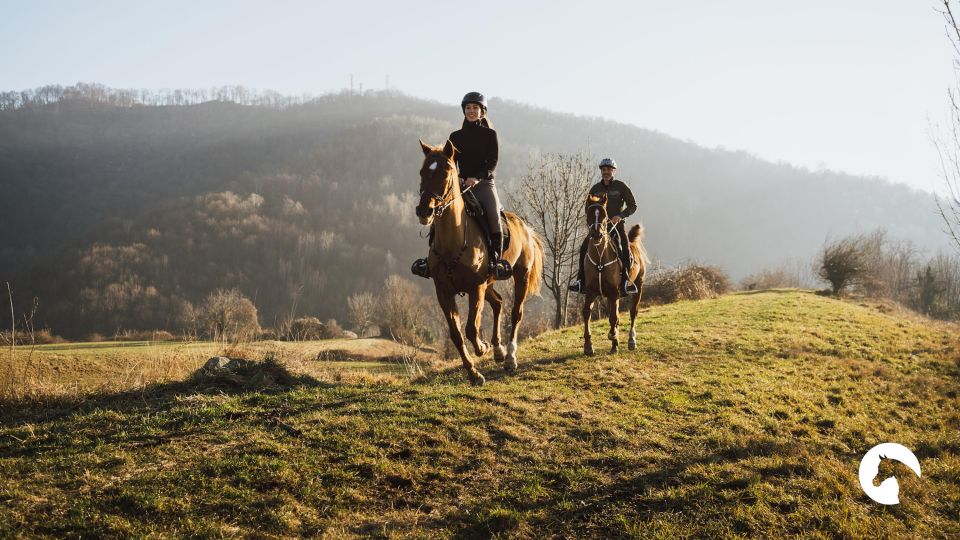 Lake Como: Horseback Adventure & Tasting With Amazing Views - Inclusions and Exclusions