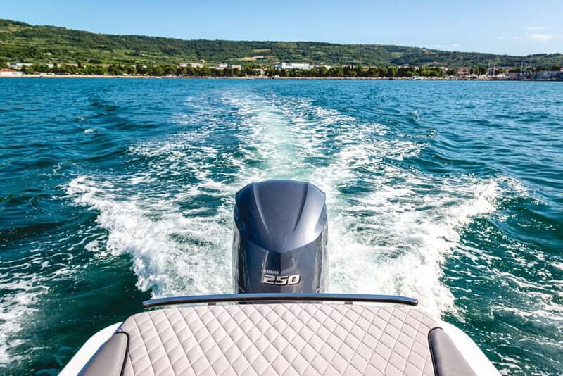 Lake Como: Shared Group or Private Boat Tour - The Authentic Taste of Lake Como from the Water