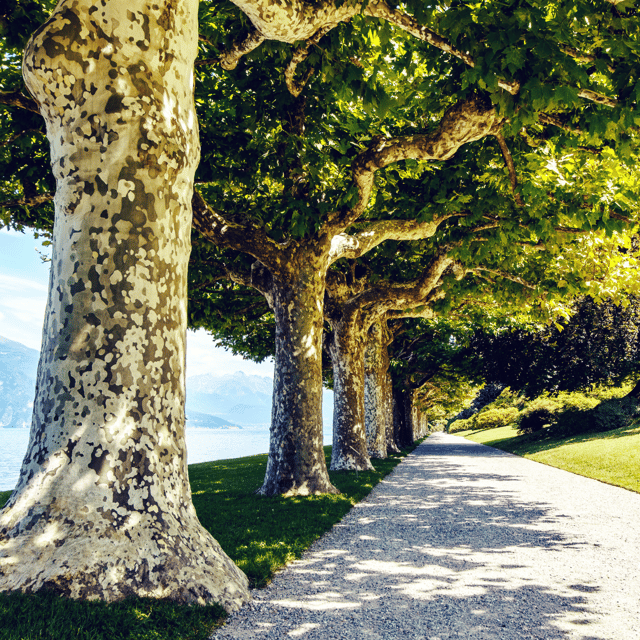 Lake Como: Villa Melzi Garden Entry Ticket With Ferries - Ask Away
