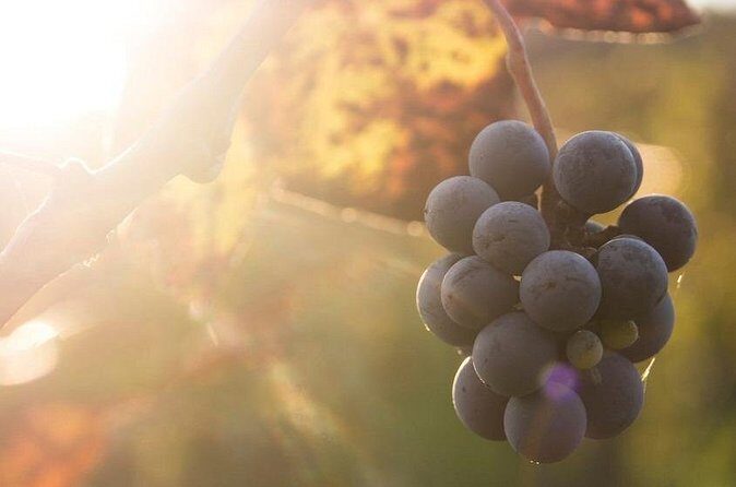 Lake Country Casual Experience - Final Thoughts: Is the Lake Country Casual Experience for You?