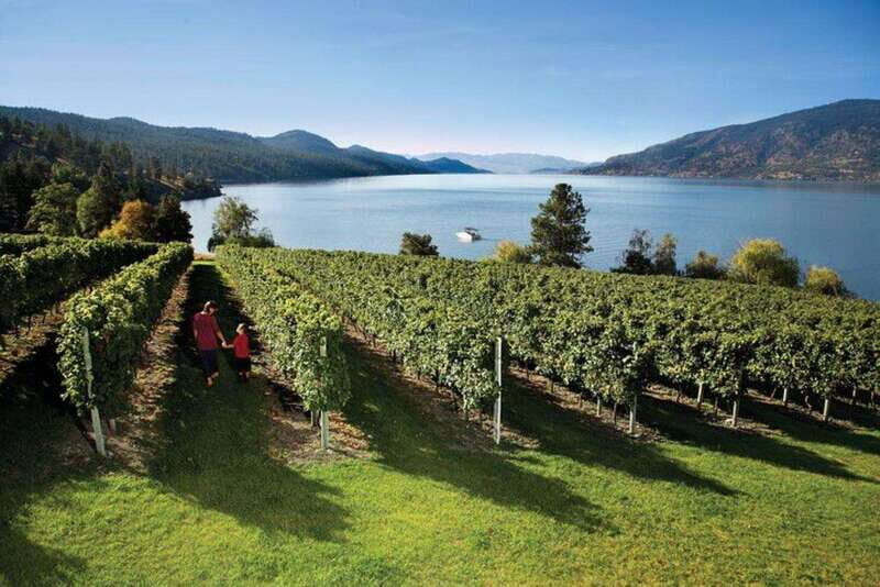 Lake Country: Full-Day Wine Tour with Tastings - Practical Details and Tips