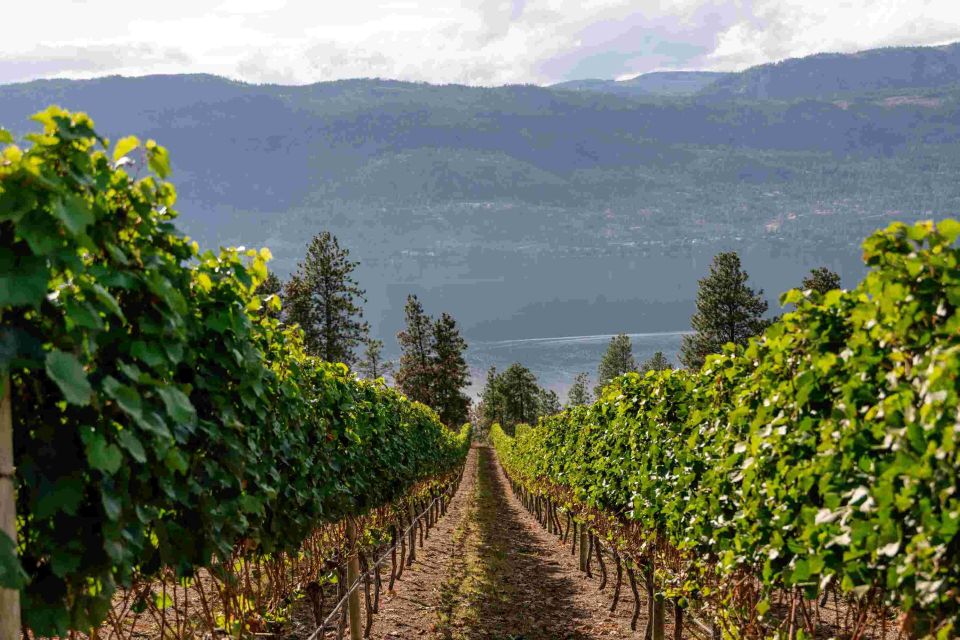 Lake Country Wineries Tour - Wine Tasting Experience