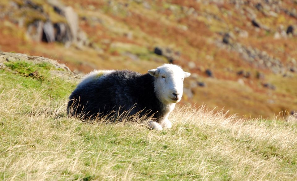 Lake District: Western Lakes Full-Day Tour - Itinerary Highlights