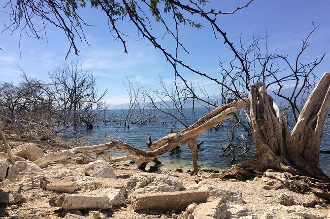 Lake Enriquillo - An In-Depth Look at Lake Enriquillo
