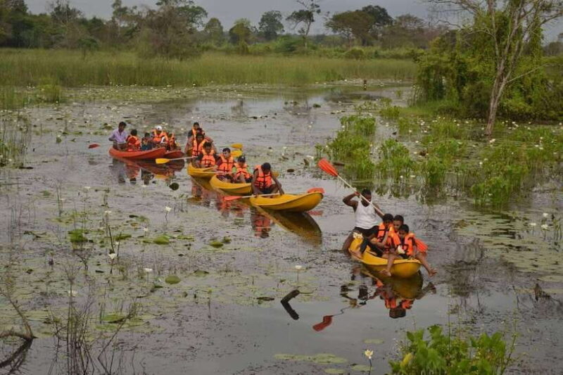 Lake Fishing & Cooking Experience Tour From Colombo - Who Should Consider This Tour?