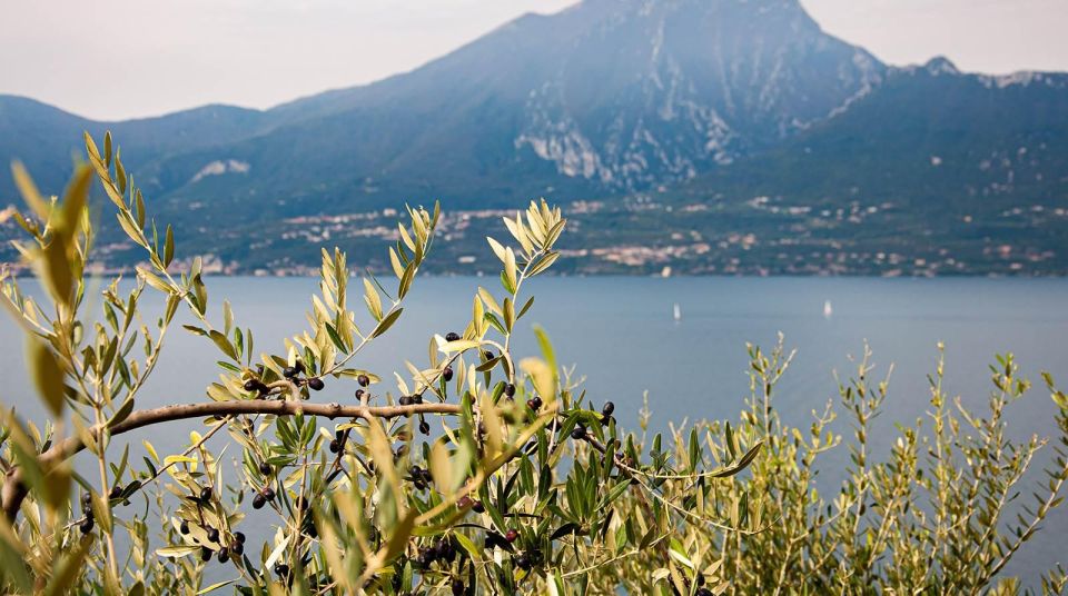 Lake Garda Nature, Cuisine, Culture and History. - Key Points