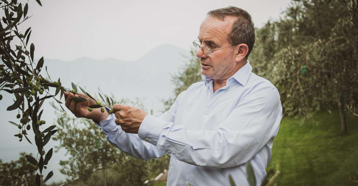 Lake Garda Nature, Cuisine, Culture and History. - Highlights Explored