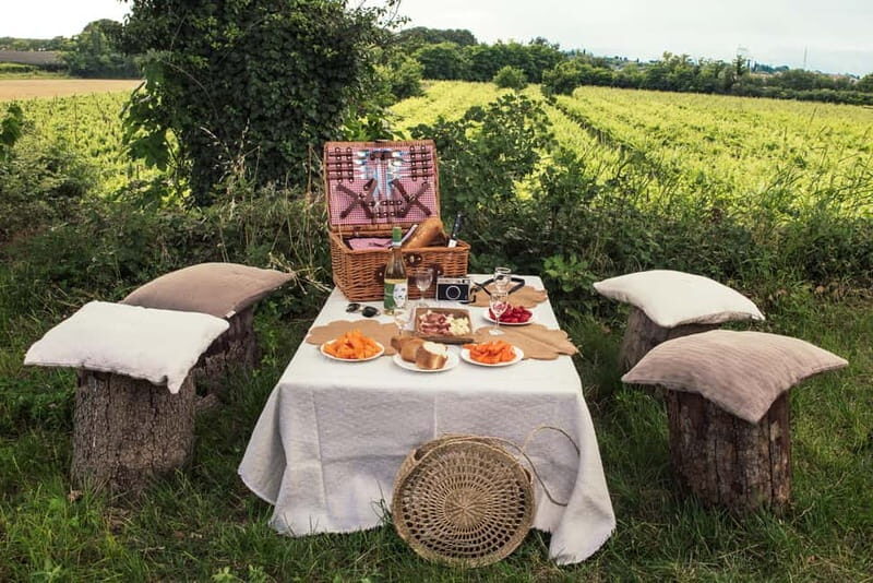 Lake Garda: Pic Nic in the vineyard with wine tasting - Lake Garda: Pic Nic in the Vineyard with Wine Tasting — A Deep Dive into a Laid-Back Italian Escape