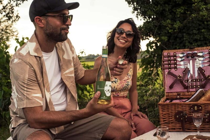 Lake Garda: Pic Nic in the vineyard with wine tasting - Key Points