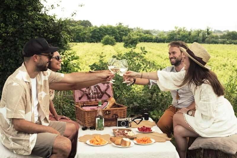 Lake Garda: Pic Nic in the vineyard with wine tasting - Who Should Consider This Tour?