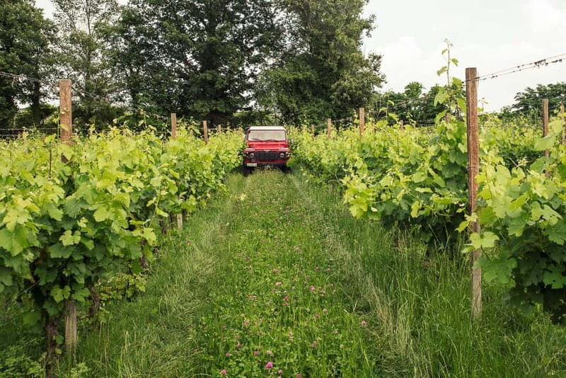 Lake Garda: Private 4x4 Vineyard Tour with Wine Tasting - The Sum Up