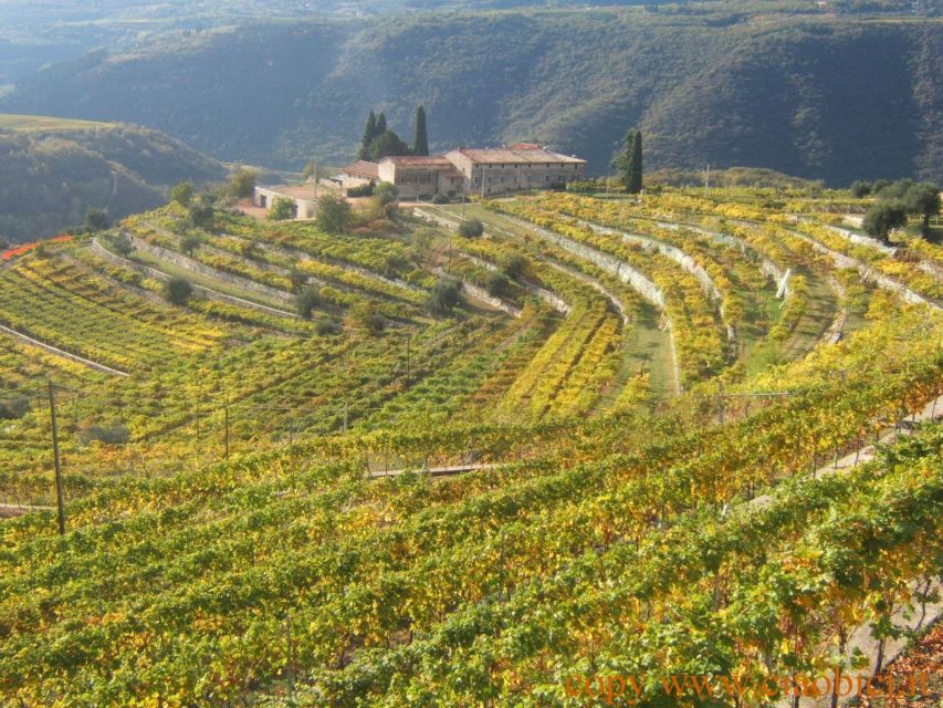 Lake Garda: Valpolicella Wine and Food Tour - Itinerary Highlights