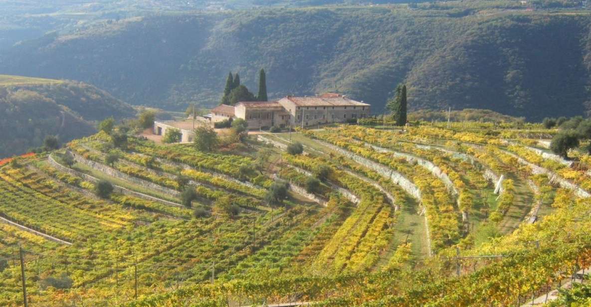 Lake Garda: Valpolicella Wine and Food Tour - Customer Feedback and Ratings
