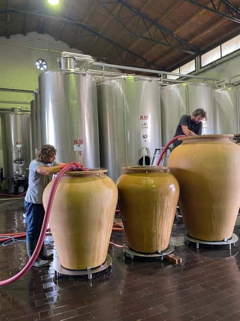 LAKE GARDA: VINEYARD AND WINERY TOURS - Who Would Love This Tour?