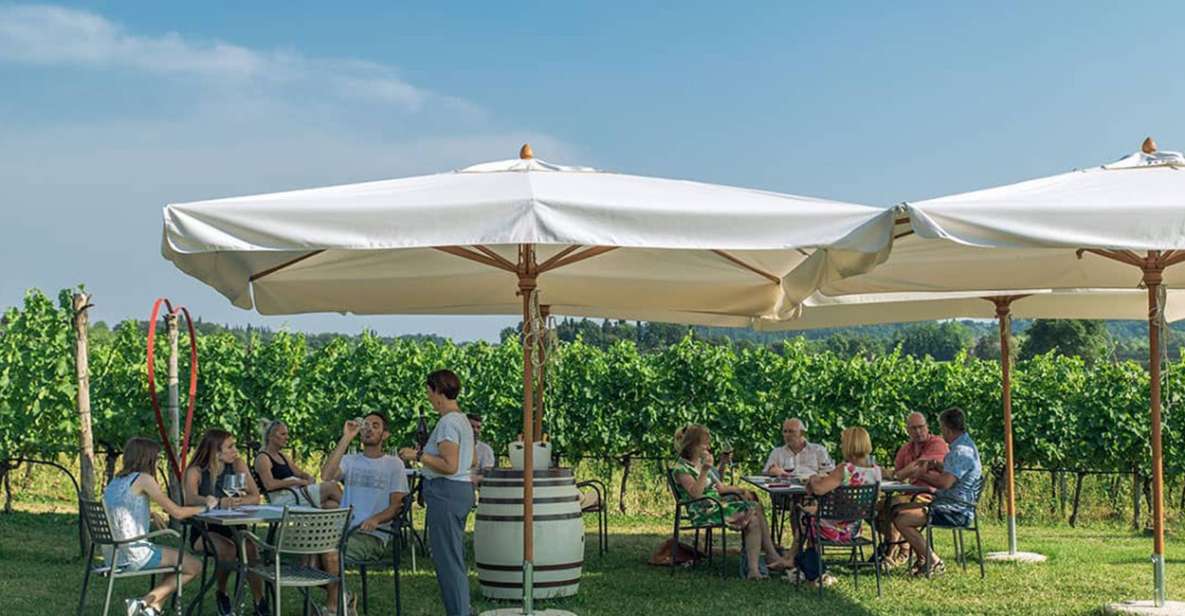 Lake Garda: Wine and Food Tastings in the Vineyards - Key Points