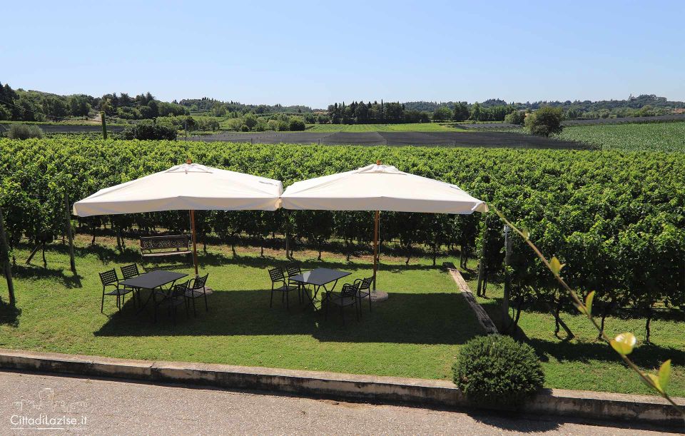Lake Garda: Wine and Food Tastings in the Vineyards - Vineyard Atmosphere and Setting