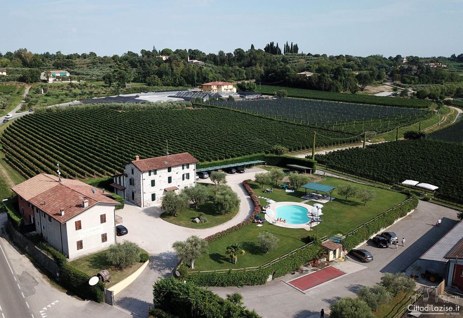 Lake Garda: Wine and Food Tastings in the Vineyards - Customer Experiences and Feedback