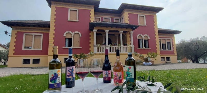 Lake Garda: Wine Tasting and Myths Tour with Local Snacks - The Sum Up