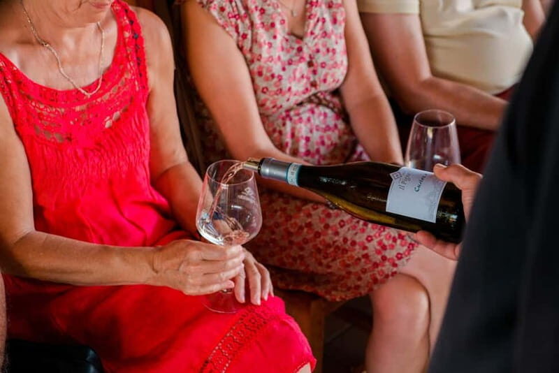 Lake Garda: Winery Tour & Wine Tasting with Local Delicacies - The Wines and Pairing