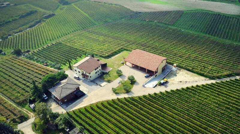 Lake Garda: Winery Tour & Wine Tasting with Local Delicacies - Additional Information