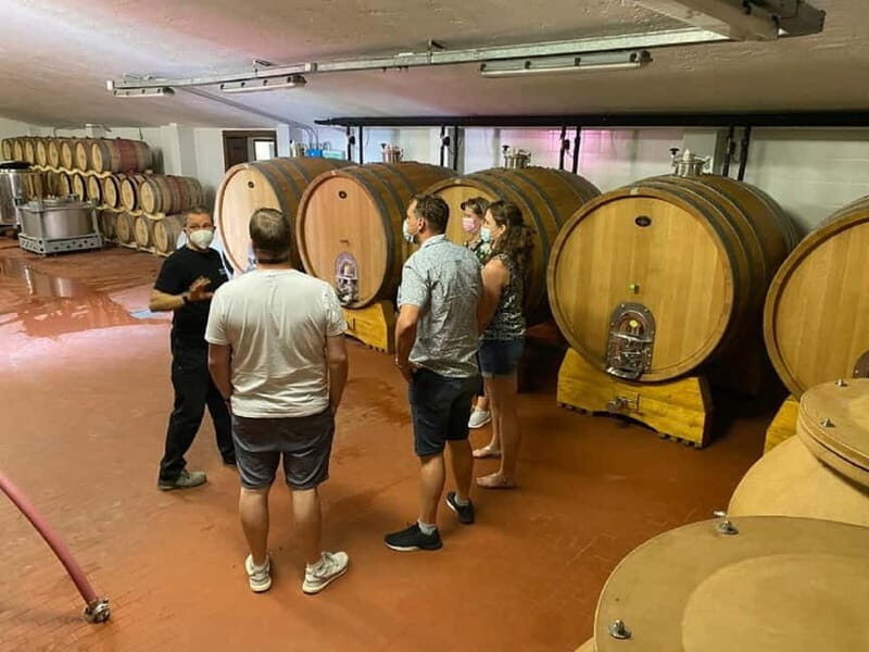 Lake Garda: Winery Visit with Wine and Olive Oil Tasting - Tasting and Learning