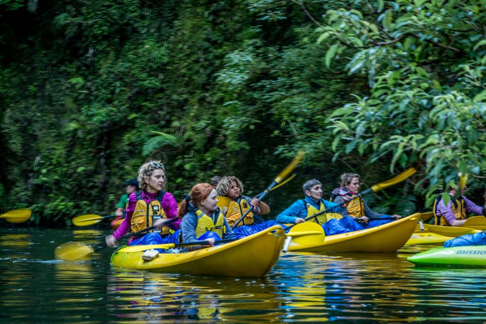 Lake Karapiro: Evening Kayak Glowworm Tour - Directions to the Meeting Point
