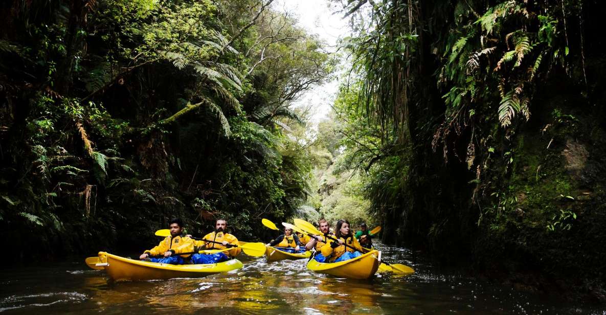 Lake Karapiro: Evening Kayak Glowworm Tour - Testimonials From Travelers