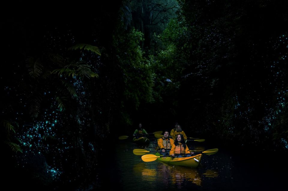 Lake Karapiro: Evening Kayak Glowworm Tour - Frequently Asked Questions