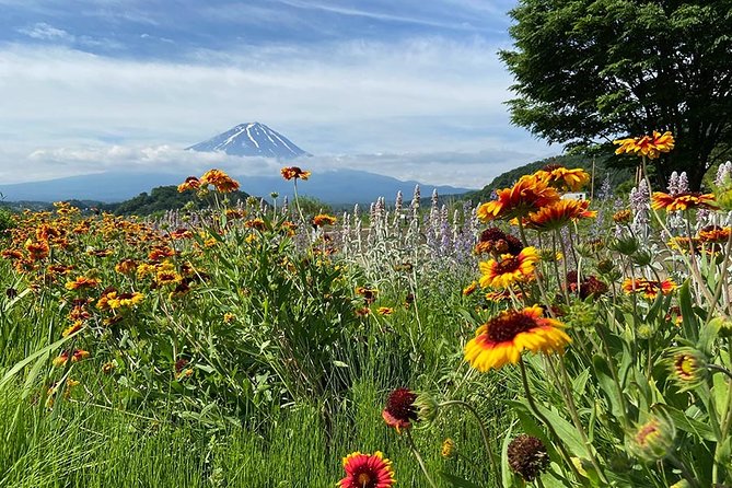 Lake Kawaguchiko Bike Tour - Meetup and Tour Start