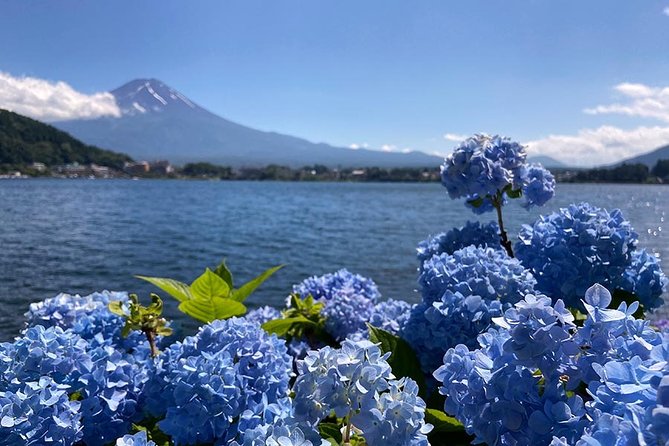 Lake Kawaguchiko Bike Tour - Tour End and Return