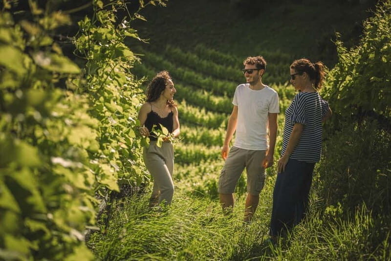 Lake Ledro: wine Pic Nic with stunning Lake View - Introduction