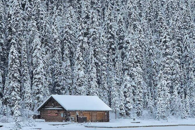 Lake Louise and Icefields Parkway Winter Tour - Exploring the Itinerary in Detail