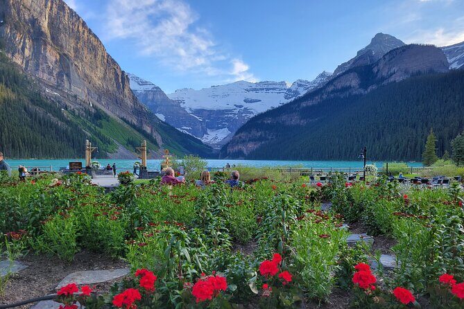 Lake Louise and Moraine Lake Full Day Tour - What to Expect on the Tour