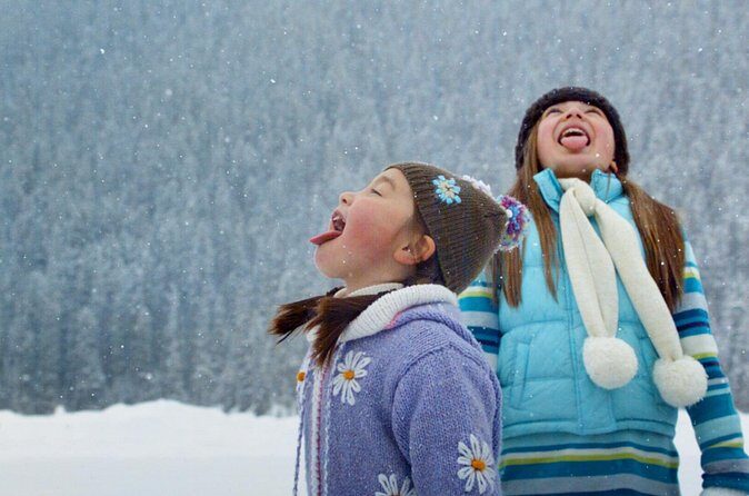 Lake Louise Johnston Canyon Peyto Lake Icefields Parkway Daytrip - The Sum Up