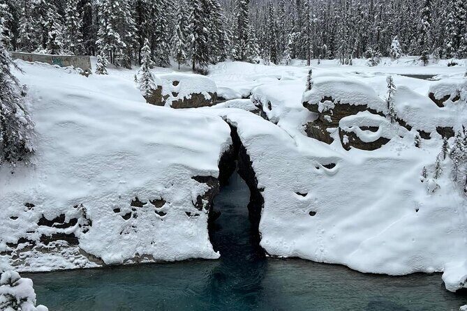 Lake Louise, Moraine Lake, Emerald Lake and Johnston Canyon Tour - Exploring the Rockies: What to Expect