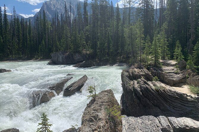 Lake Louise Moraine Lake Emerald Lake Yoho Banff National Park - Who Will Love This Tour?