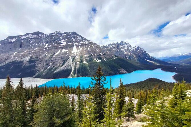 Lake Louise, Moraine Lake, Peyto Lake, Crowfoot Tour from Calgary - Why This Tour Works Well