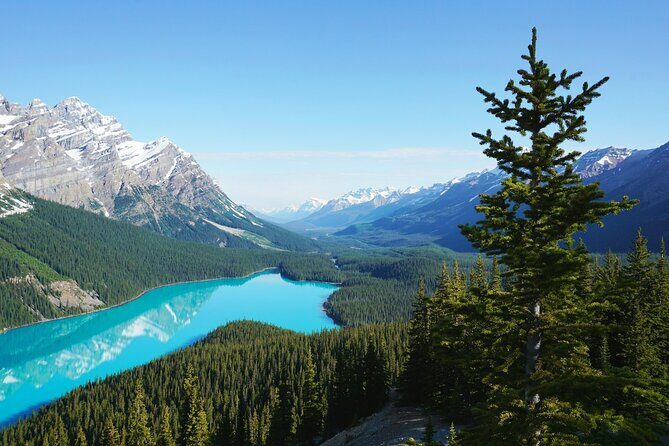 Lake Louise Moraine Lake Peyto Lake Icefield Parkway Day Trip - Who Will Love This Tour?