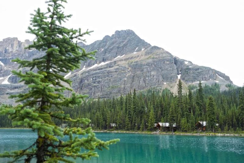 Lake Louise: Moraine & Louise Lake Half-Day Highlights Tour - Logistics, Transportation, and Timing