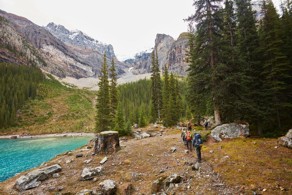 Lake Louise: Moraine & Louise Lake Half-Day Highlights Tour - Key Points